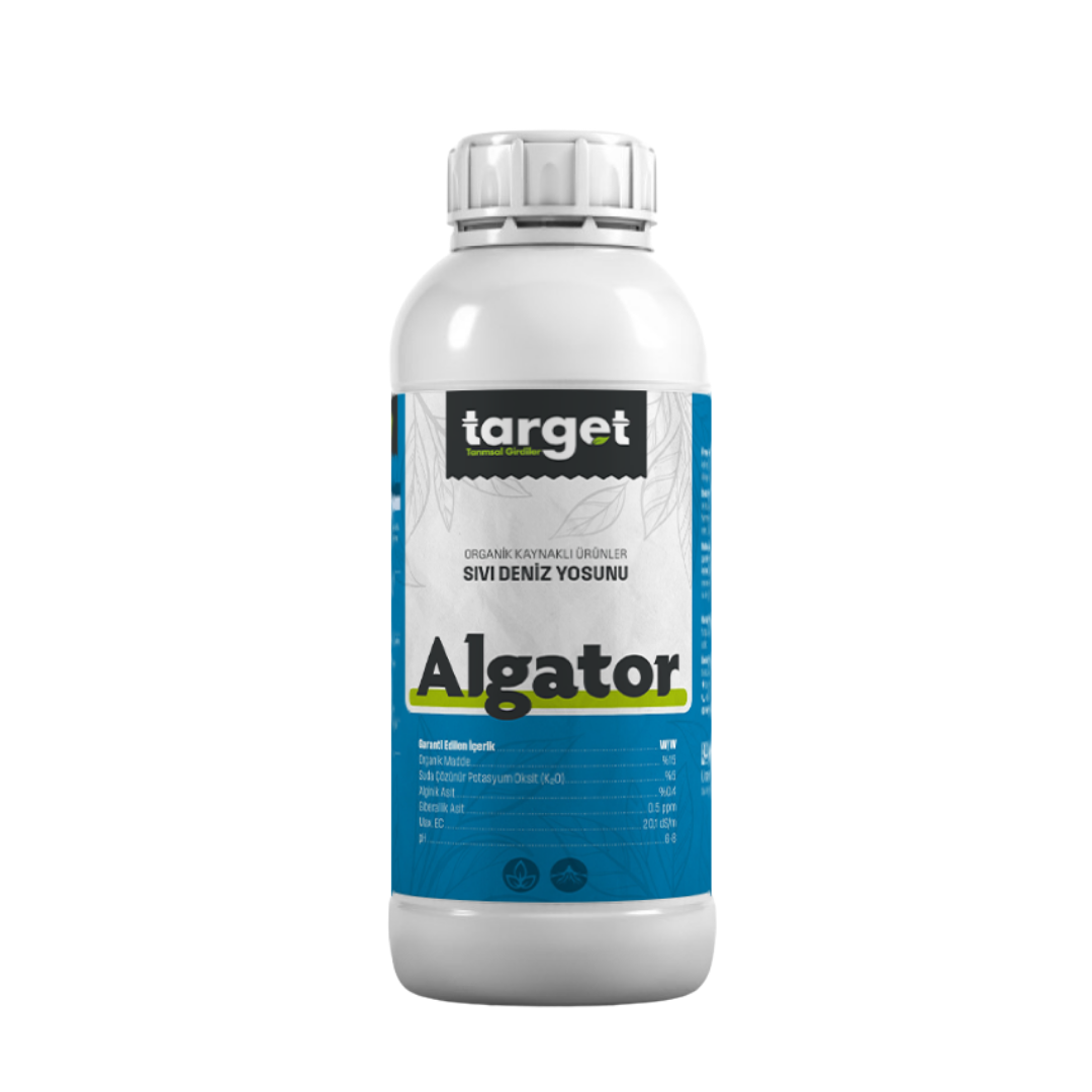 Algator
