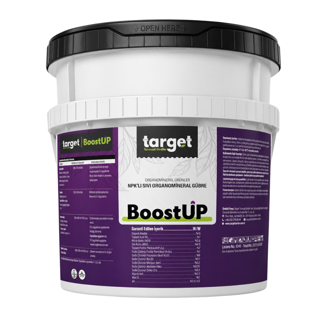 BoostUP