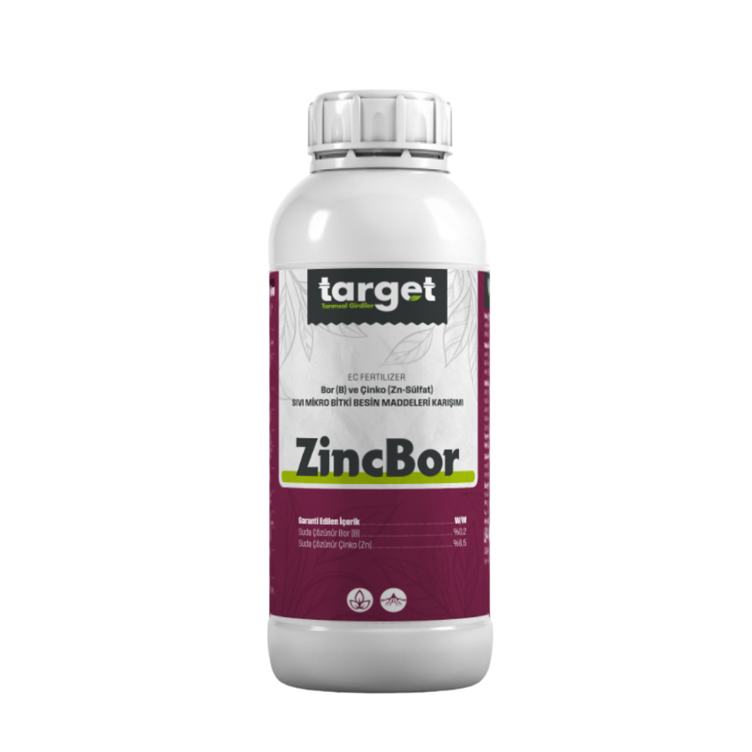 ZincBor